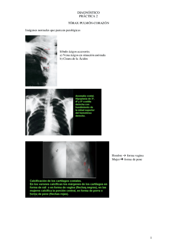 Miniatura del documento 2o-PRACTICAS.pdf
