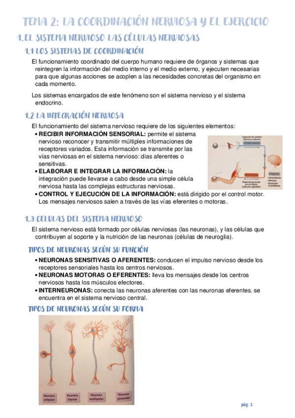 Miniatura del documento TEMA-2.pdf