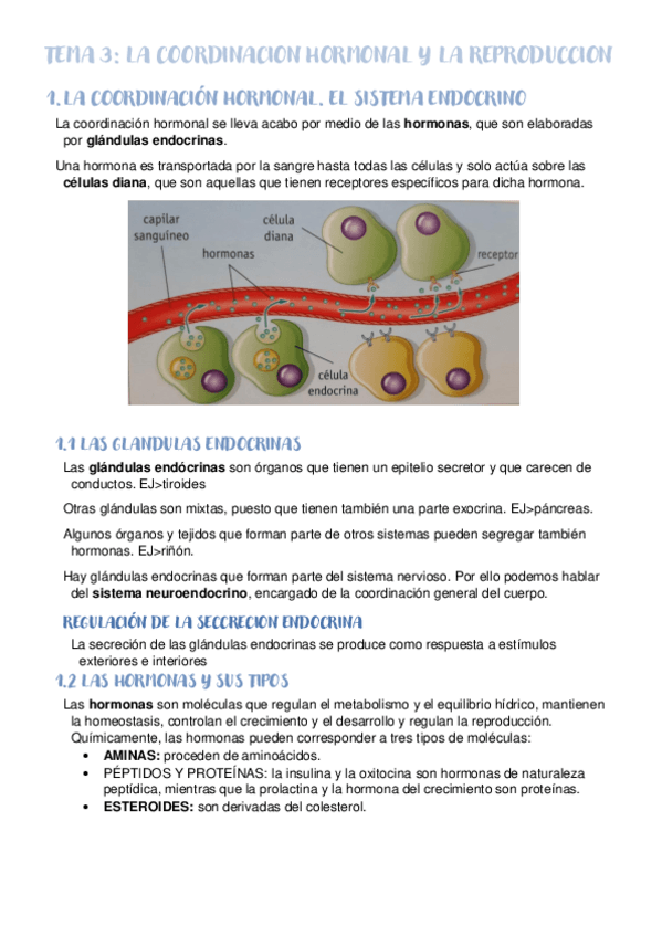 Miniatura del documento TEMA-3.pdf