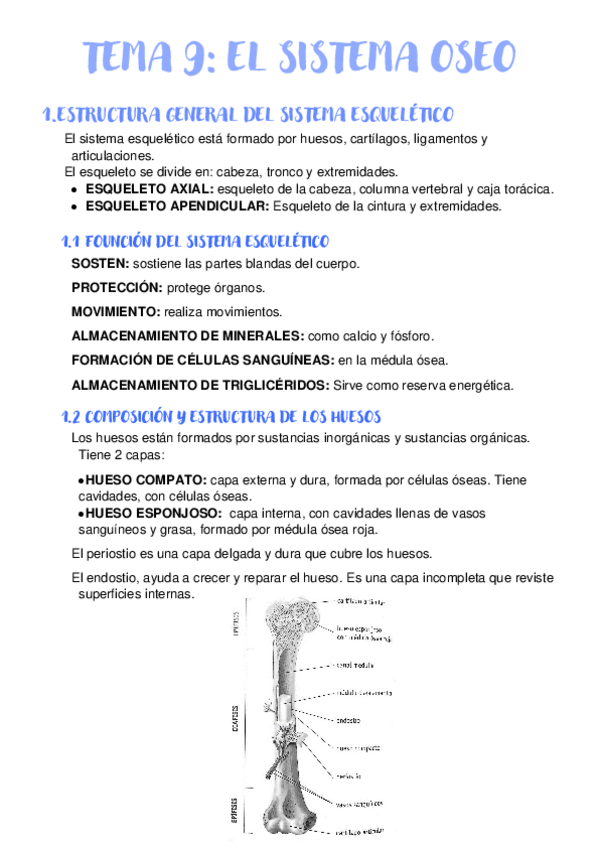 Miniatura del documento TEMA-9-EL-SISTEMA-OSEO.pdf