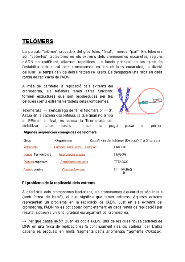 Miniatura del documento T3-Biologia.pdf