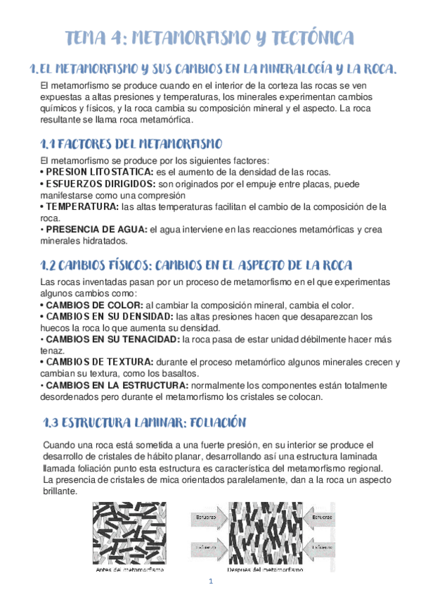 Miniatura del documento TEMA-4-Metamorfismo-y-tectonica.pdf