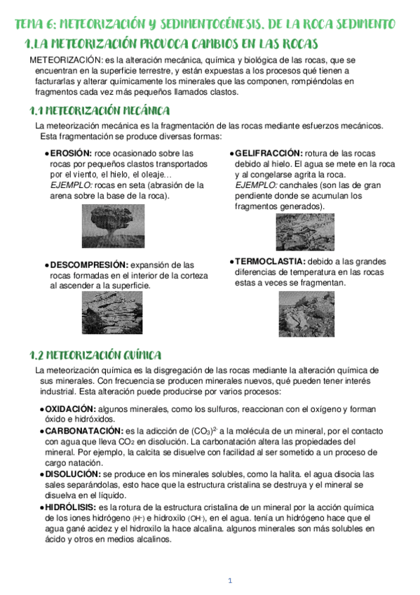 Miniatura del documento TEMA-5-Meteorizacion-y-sedimentologia.pdf