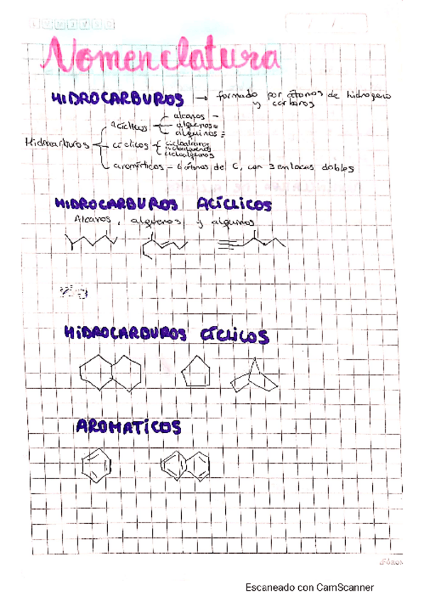 Miniatura del documento Nomenclatura.pdf