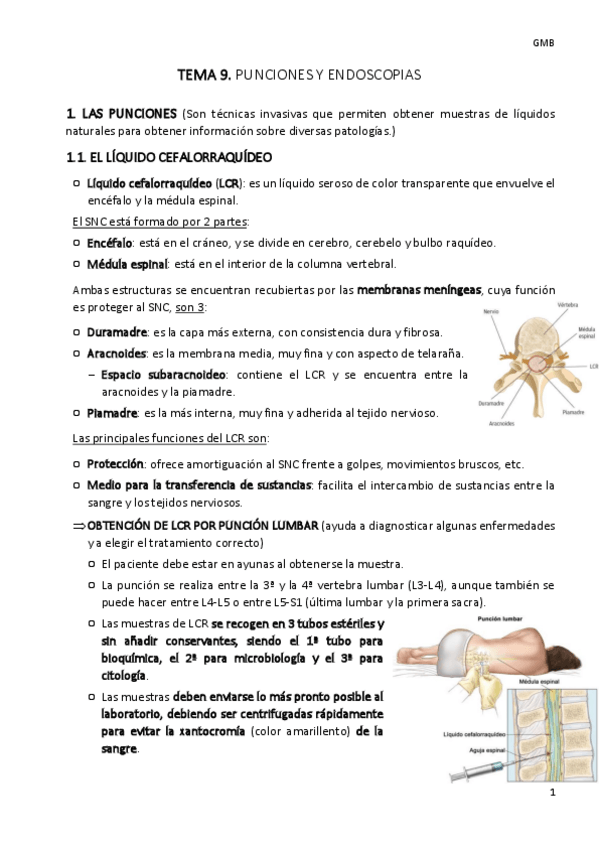 Miniatura del documento TEMA-9-gmb.pdf