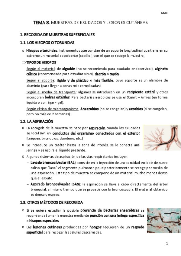 Miniatura del documento TEMA-8-gmb-.pdf