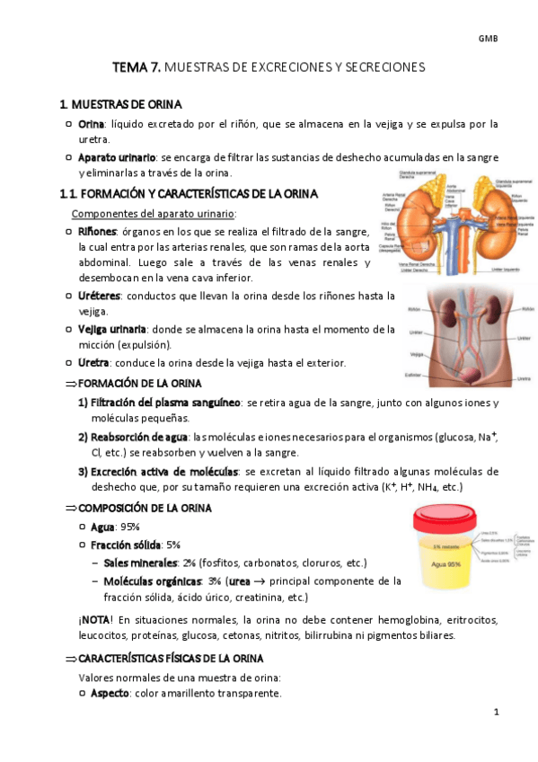 Miniatura del documento TEMA-7-gmb.pdf