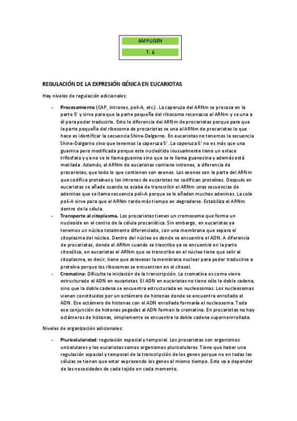 Miniatura del documento RESUMEN-TEMA-6.pdf
