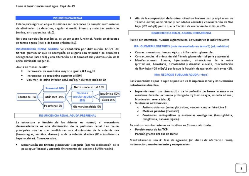 Miniatura del documento INSUFICIENCIA-RENAL-AGUDA.pdf