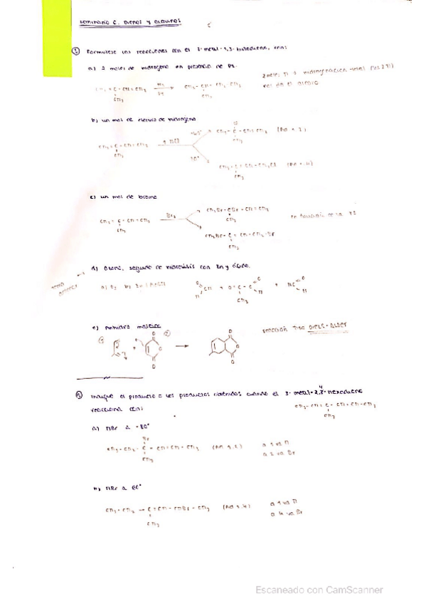 Miniatura del documento seminarios-y-parciales-Qorganica.pdf