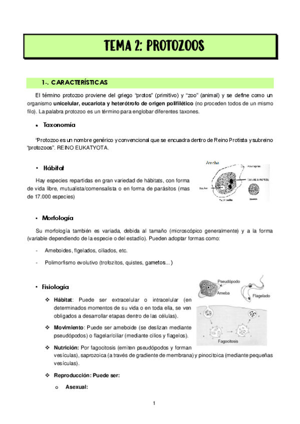 Miniatura del documento TEMA-2-PROTOZOOS.pdf