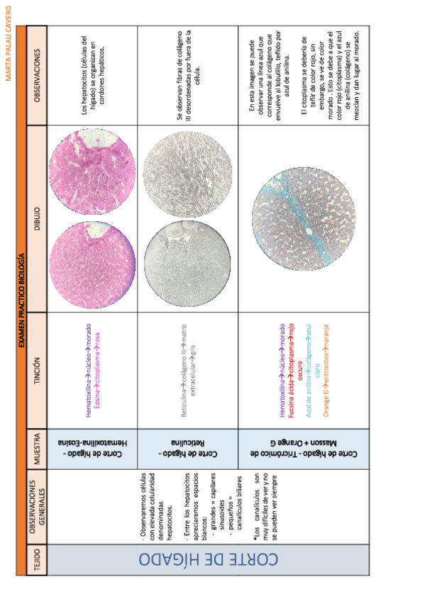 Miniatura del documento Apuntes-examen-practico-biologia-Prof.pdf