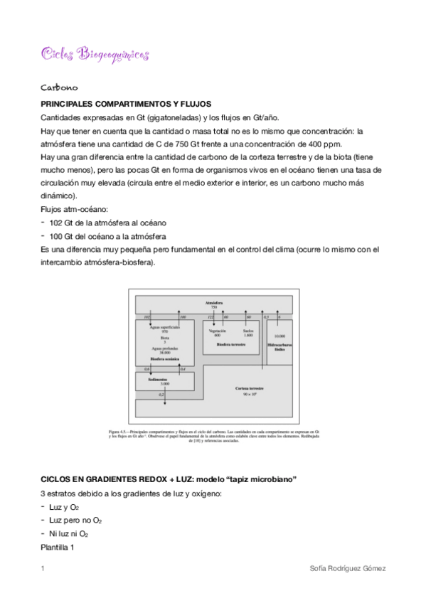 Miniatura del documento 5-Ciclos-Biogeoquimicos.pdf