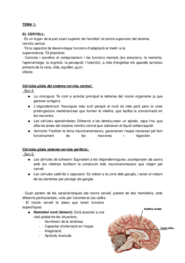 Miniatura del documento GG-JUDITH-1.docx