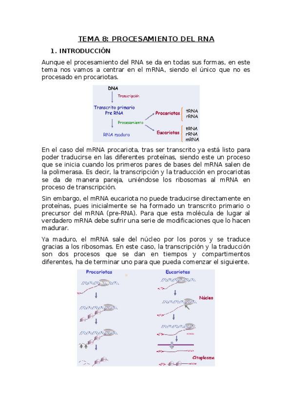 Miniatura del documento TEMA-8.docx