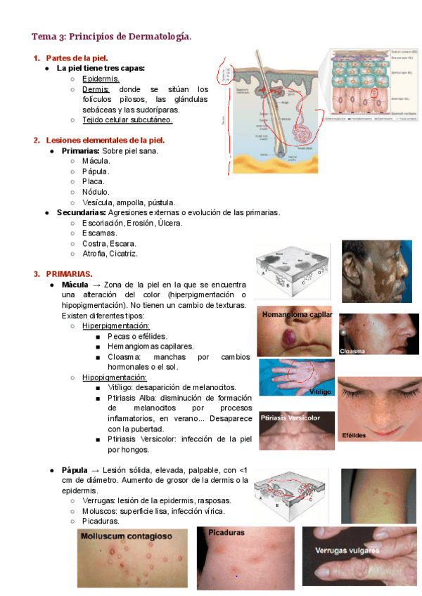 Miniatura del documento Tema-3.pdf