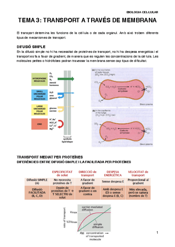 Miniatura del documento BIOCELT3.pdf