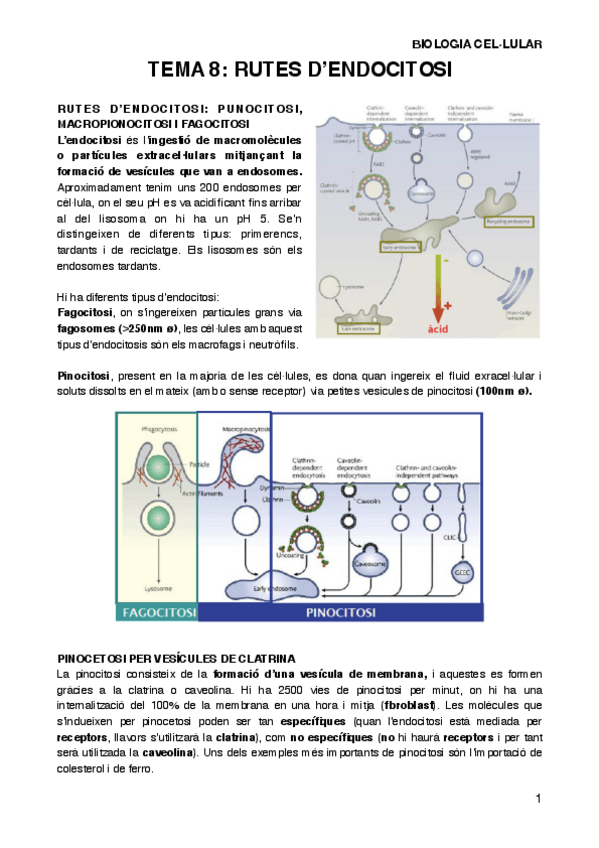 Miniatura del documento BIOCELT8.pdf