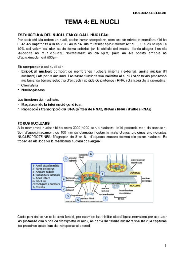 Miniatura del documento BIOCELT4.pdf