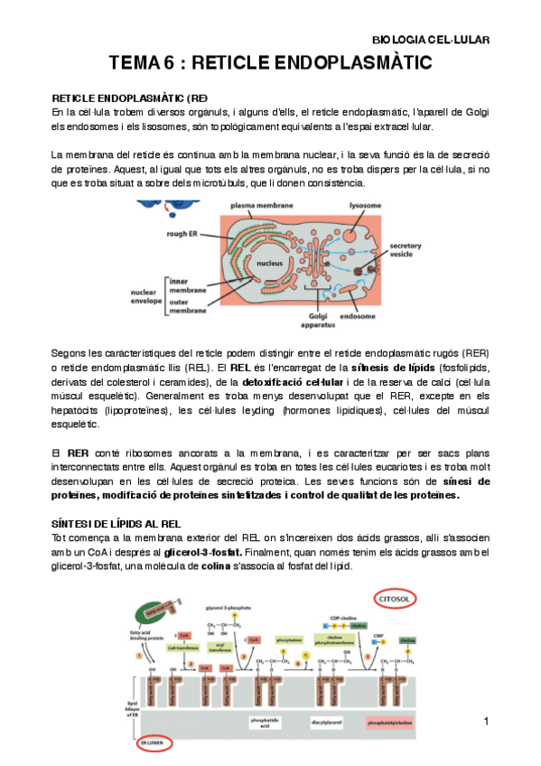 Miniatura del documento BIOCELT6.pdf