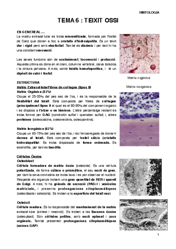 Miniatura del documento HISTT6.pdf