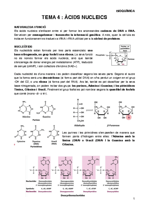 Miniatura del documento BIOQT4.pdf
