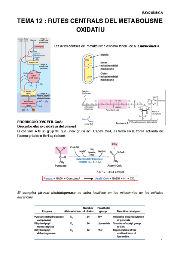 Miniatura del documento BIOQT12.pdf