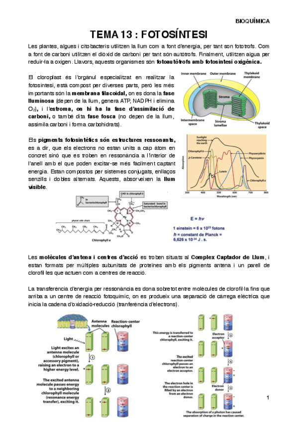Miniatura del documento BIOQT13.pdf