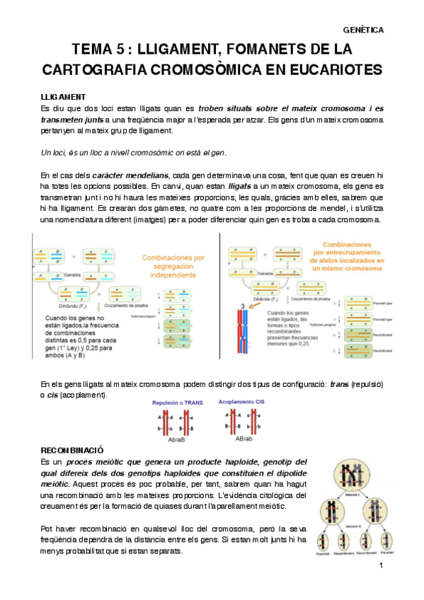 Miniatura del documento GENT5.pdf