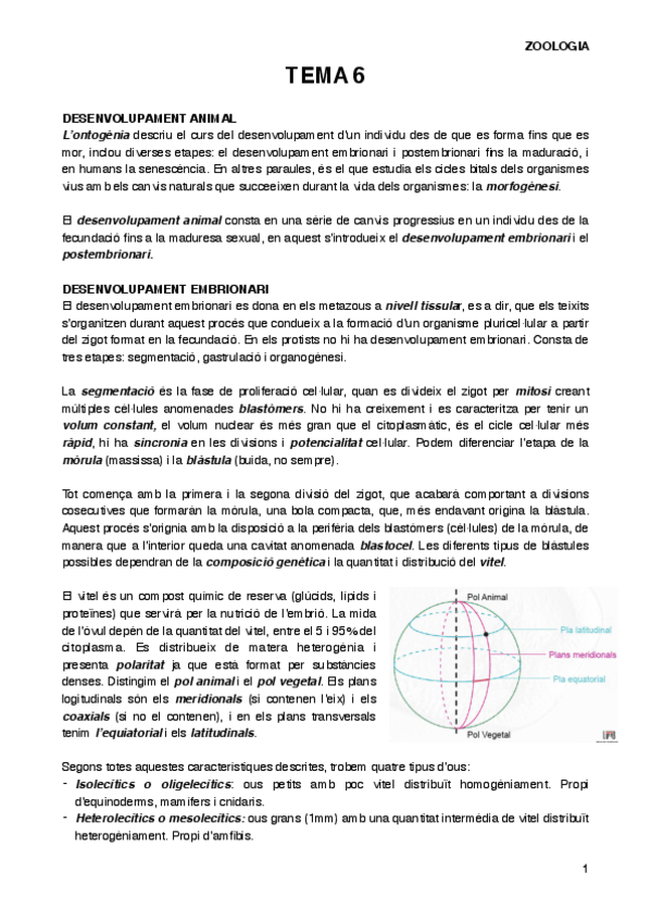 Miniatura del documento ZOOT6.pdf