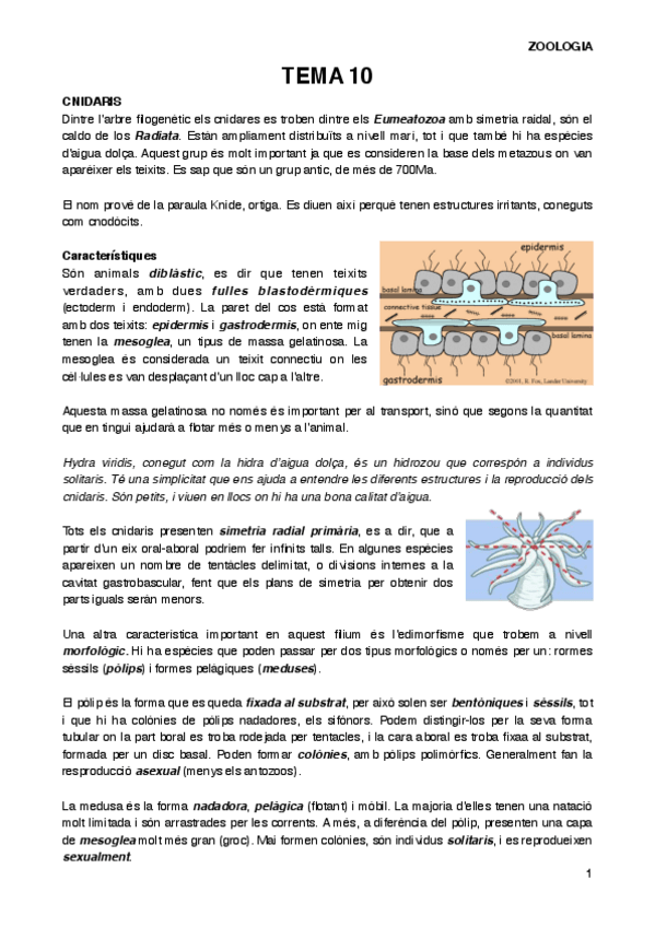 Miniatura del documento ZOOT10.pdf