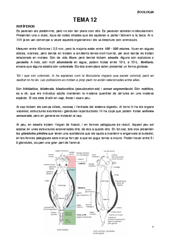 Miniatura del documento ZOOT12.pdf