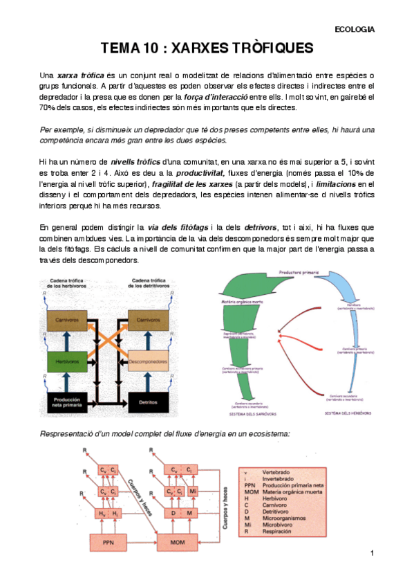 Miniatura del documento ECOT10.pdf