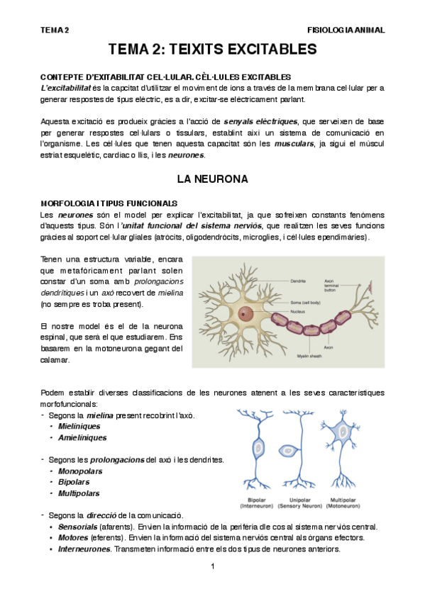 Miniatura del documento T2FA.pdf