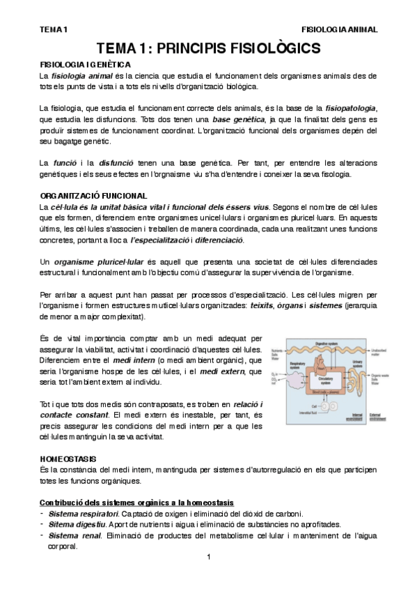 Miniatura del documento T1FA.pdf