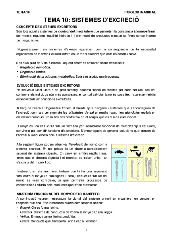 Miniatura del documento T10FA.pdf