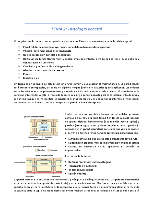 Miniatura del documento TEMA-2-21-22.pdf