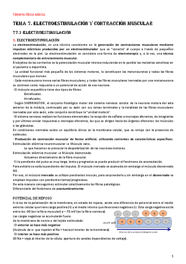 Miniatura del documento TEMA-7.pdf