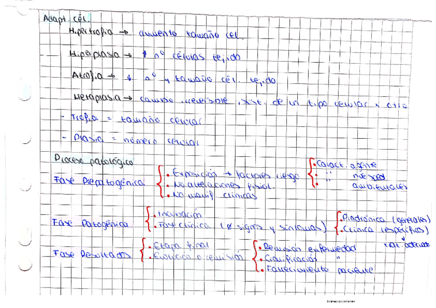 Miniatura del documento Glosario Fisiopatología 