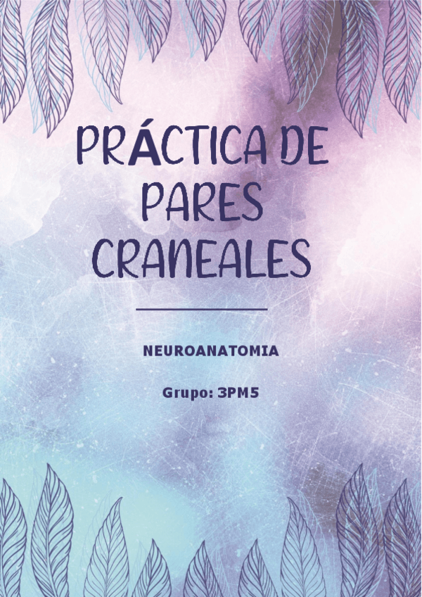 Miniatura del documento PracticaPCS.pdf