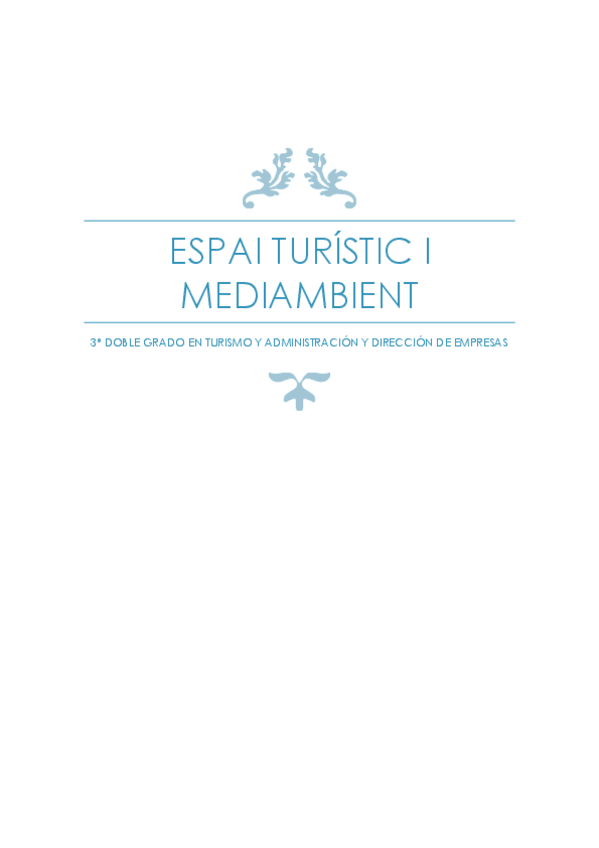 Miniatura del documento TEORIA.pdf