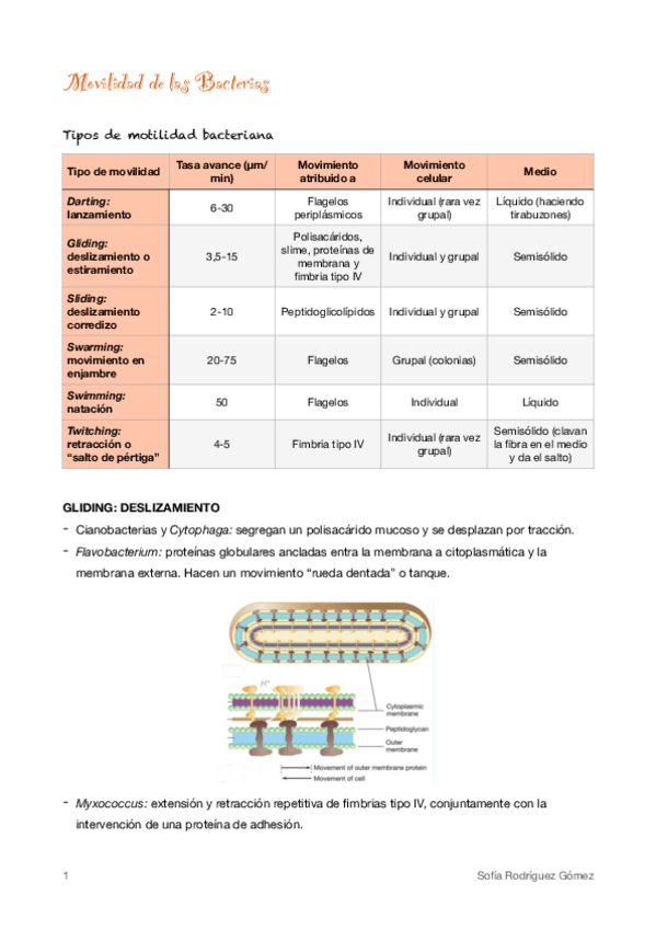 Miniatura del documento 4-Movilidad-de-las-Bacterias.pdf