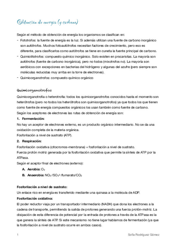 Miniatura del documento 11-Obtencion-de-energia.pdf