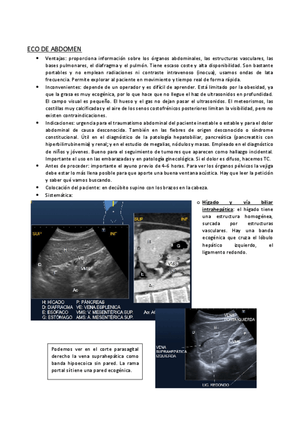 Miniatura del documento ECO-ABDOMEN.pdf