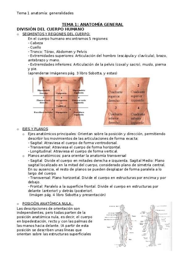 Miniatura del documento TEMA-1-generalidades.docx
