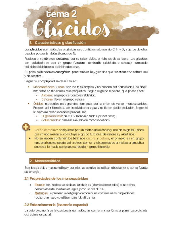 Miniatura del documento TEMA-2-Glucidos.pdf