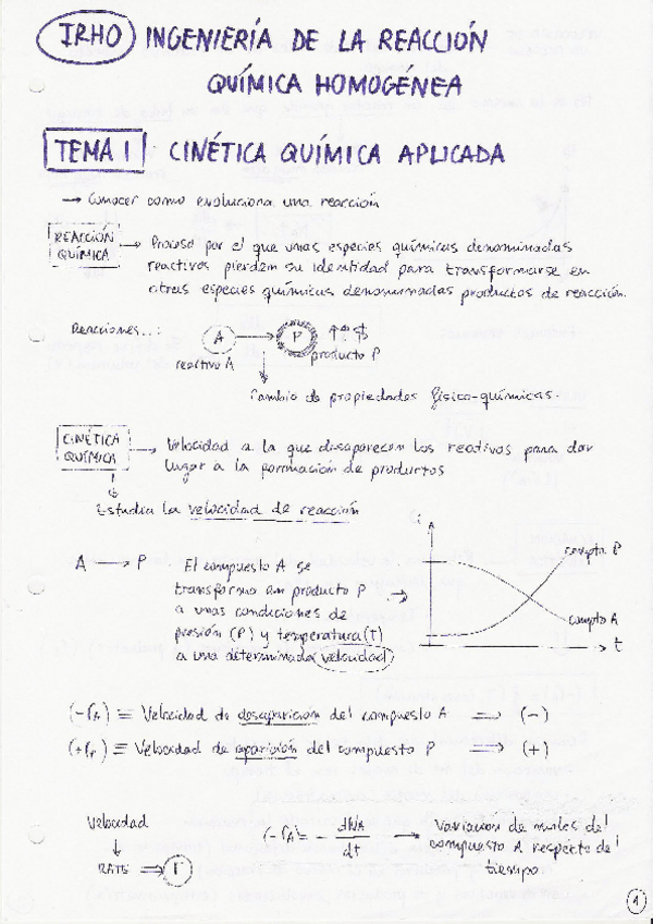 Miniatura del documento ApuntesIRHOT-1b.pdf