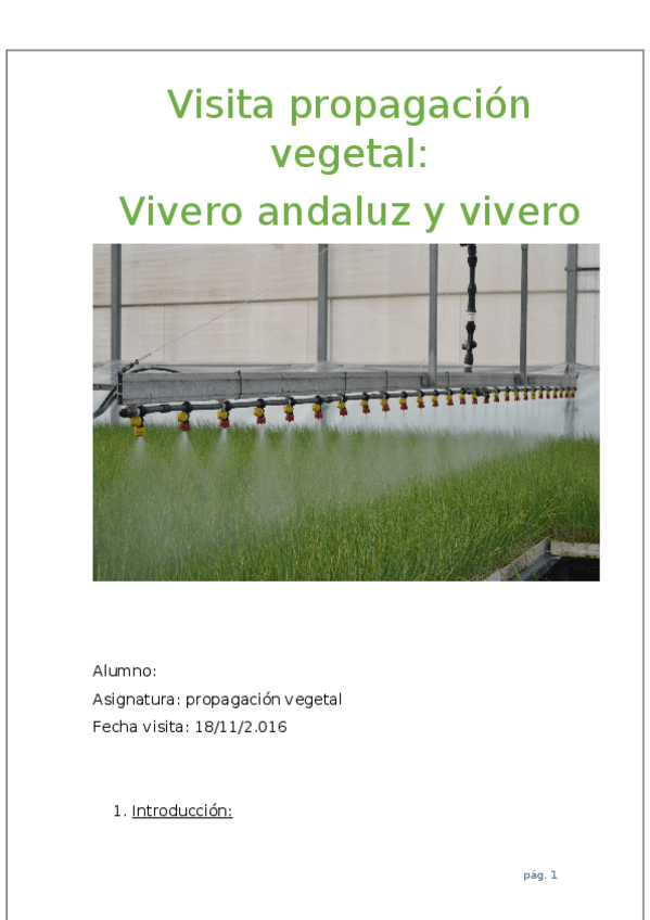 Miniatura del documento Visita.docx