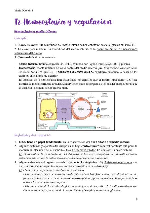 Miniatura del documento t2.pdf