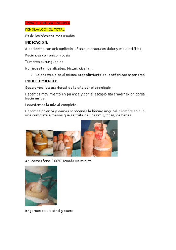 Miniatura del documento TEMA-2-TECNICA-FENOL-ALCOHOL.docx